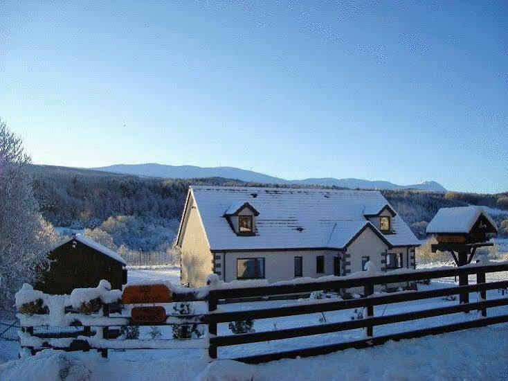Serendipity Bed And Breakfast Долкричарт Экстерьер фото