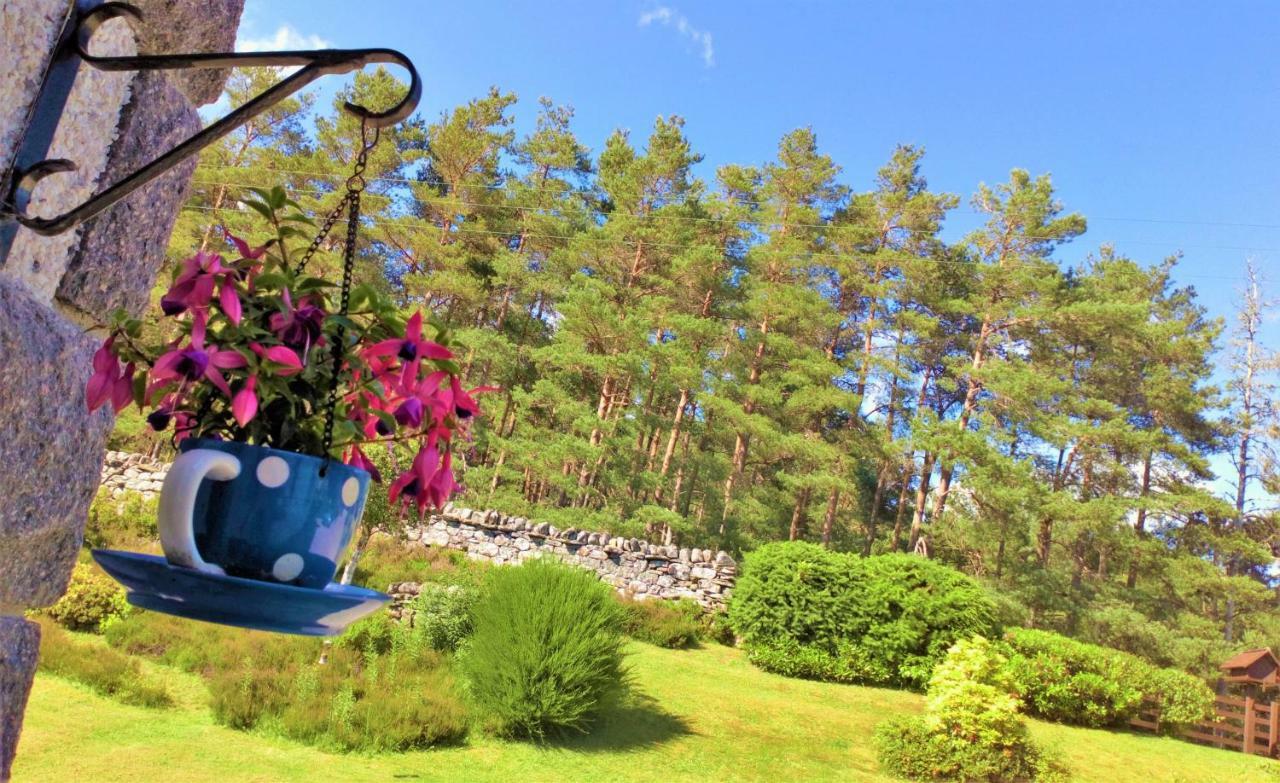 Serendipity Bed And Breakfast Долкричарт Экстерьер фото