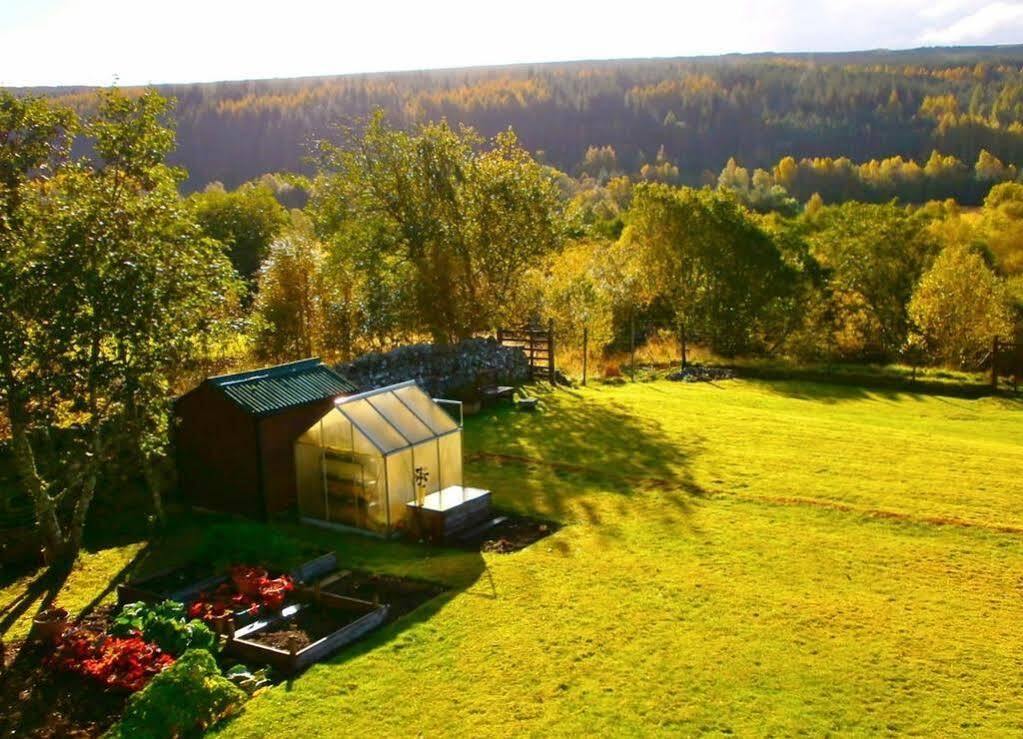 Serendipity Bed And Breakfast Долкричарт Экстерьер фото